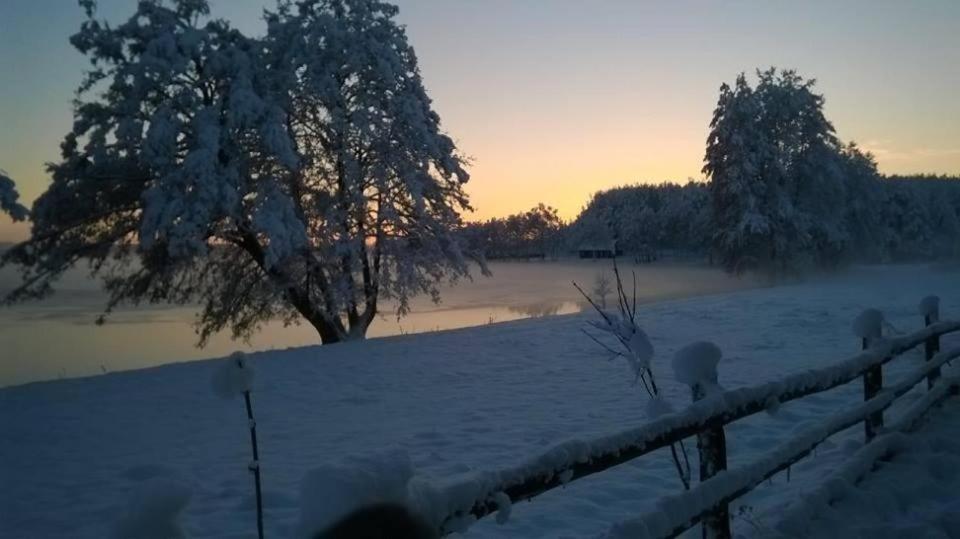 Agroturystyka Skoszewo المظهر الخارجي الصورة