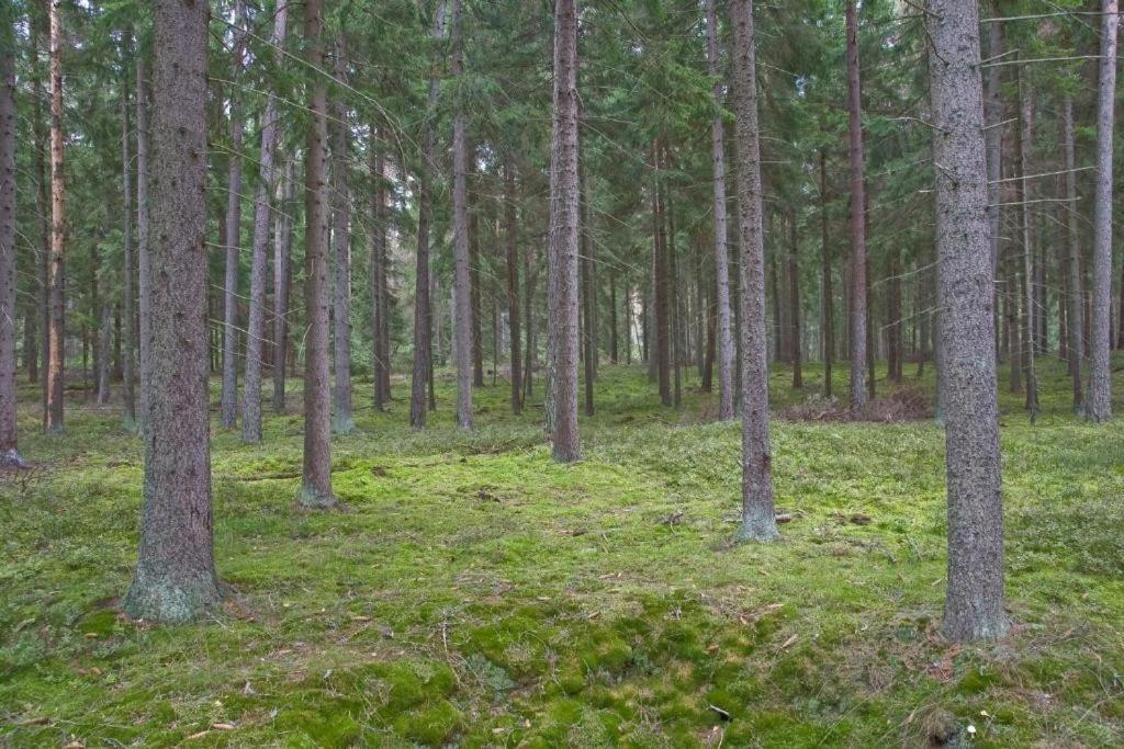 Agroturystyka Skoszewo المظهر الخارجي الصورة